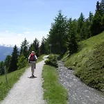 Alpehytte Des Alpes