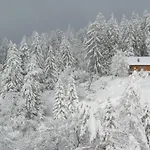 Des Alpes Alpehytte Crans-Montana