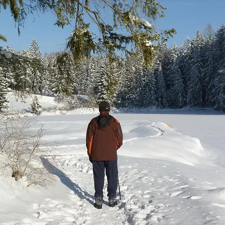 Des Alpes - Family - By Cosyhome * Кран-Монтана