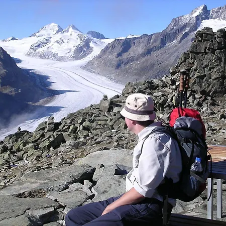 Des Alpes Panzió 3*