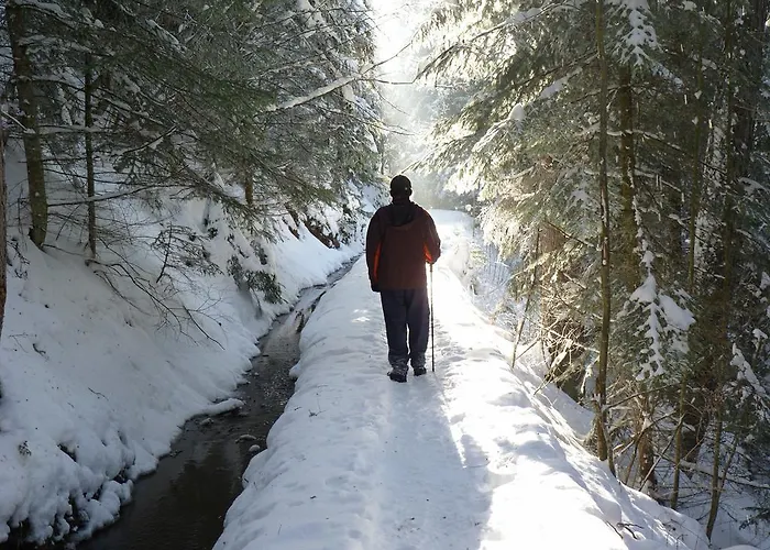 Des Alpes Alpesi faház *