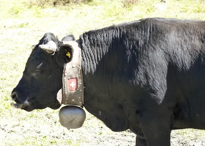 Des Alpes Alpesi faház Crans-Montana