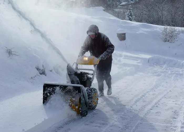 Des Alpes Alpesi faház