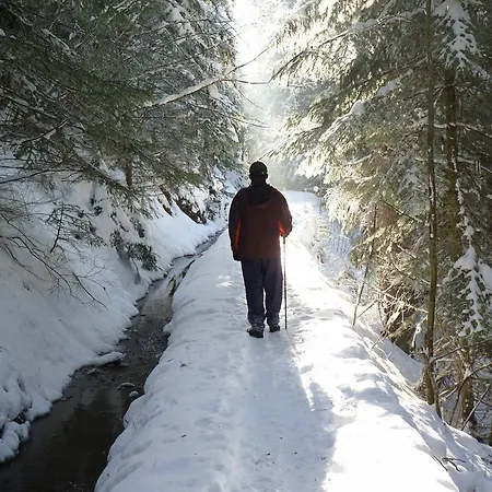 Des Alpes - Family - By Cosyhome Alpesi faház *