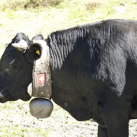 Des Alpes - Family - By Cosyhome Alpesi faház Crans-Montana