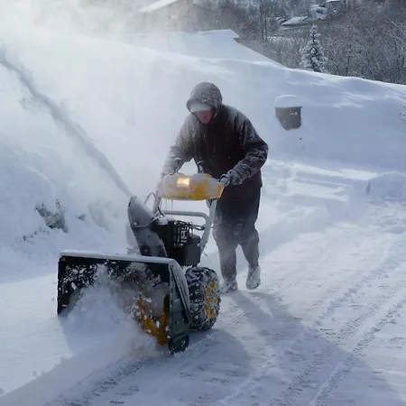 Des Alpes - Family - By Cosyhome Alpesi faház