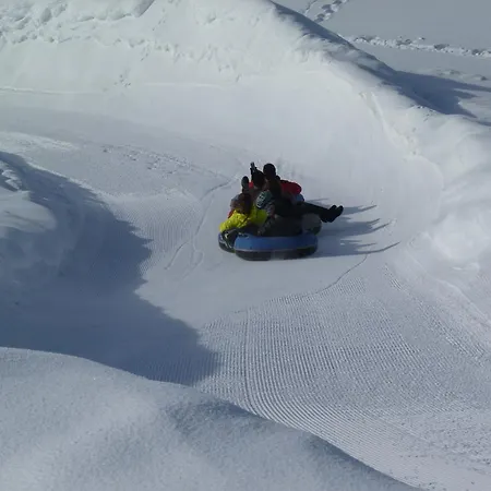 Des Alpes Chalet *