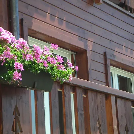 Des Alpes Chalet *