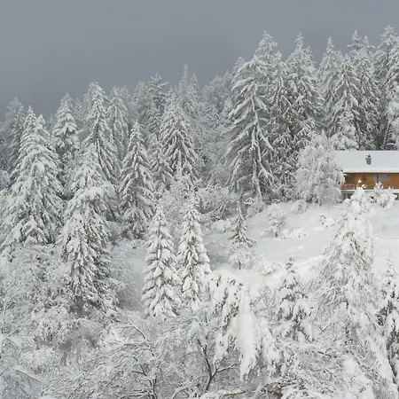 Des Alpes Chalet Crans-Montana